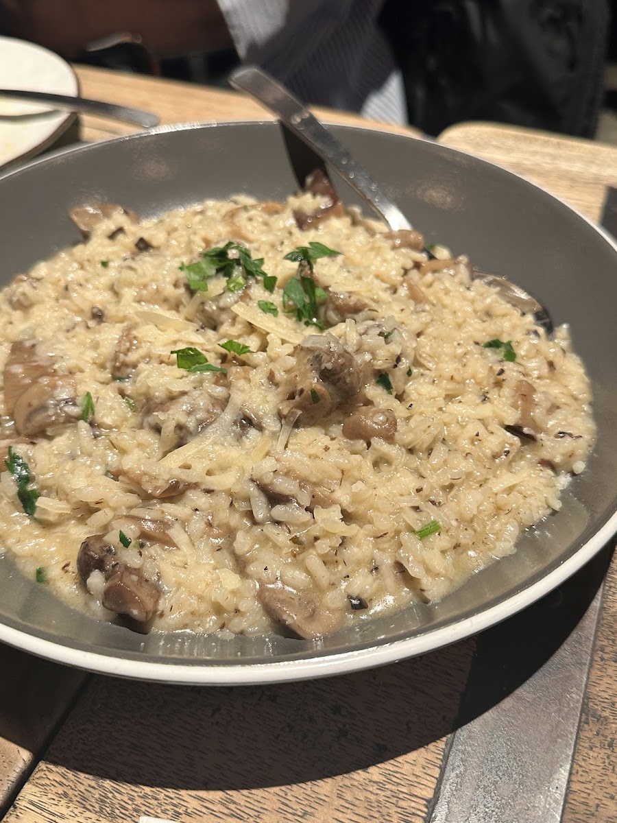 Macchiato Wood Fire Pizza And Coffee Roasters-8